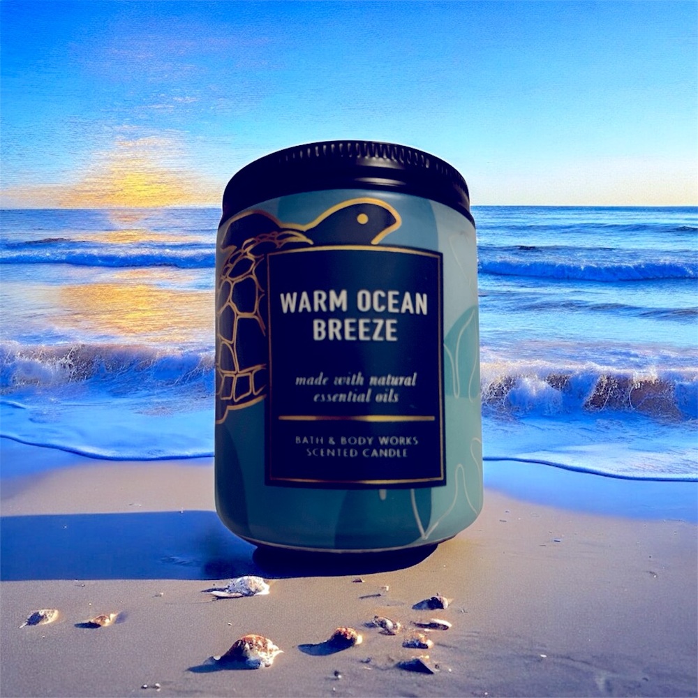 Bath & Body Works Warm Ocean Breeze Mason Jar Single Wick Candle 7oz